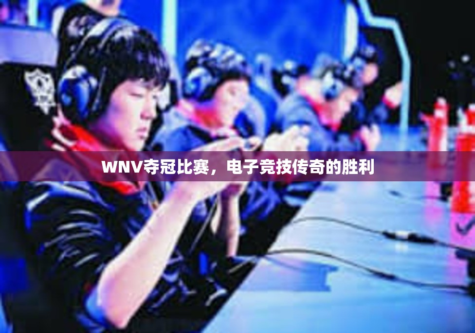 WNV夺冠比赛，电子竞技传奇的胜利