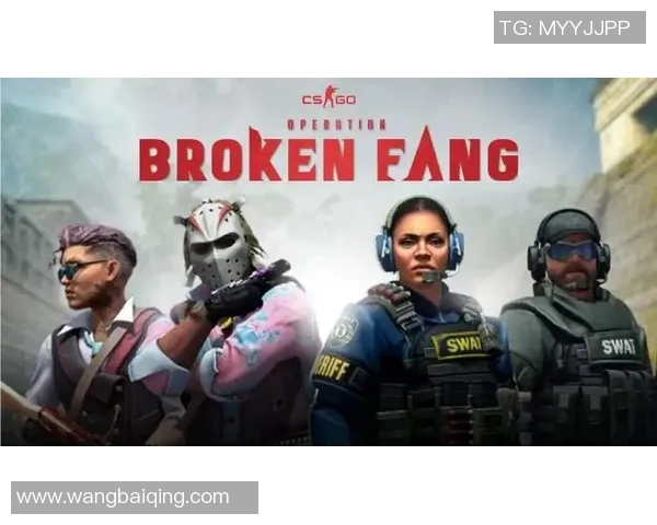 2017年csgo比赛-热血沸腾的赛场—2017年CSGO比赛回顾-2017年csgo比赛